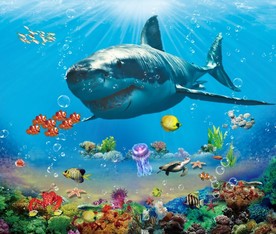 鲨鱼海底世界