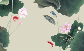 荷花背景墙