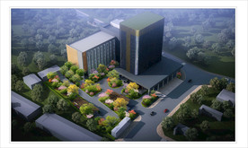 办公楼区域绿化景观