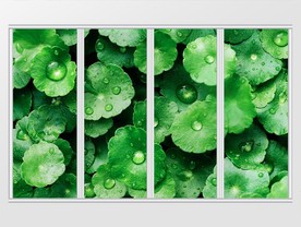 现代时尚绿叶移门