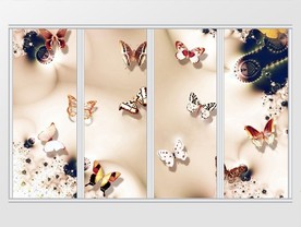 典雅丝绸蝴蝶珠宝移门