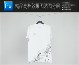 高档唯美意境VI样机一键贴图