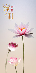 家和富贵简约莲花玄关