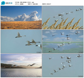 鸿雁LED舞台大屏背景视频成品