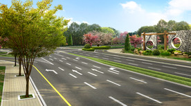 道路景观 公路绿化