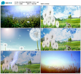 蒲公英的远行 舞台背景视频成品