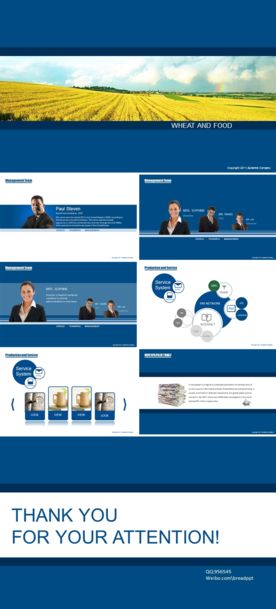 商务PPT 高端PPT 工作