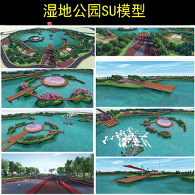 湿地公园su模型