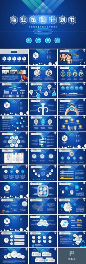 商业计划书 融资计划书