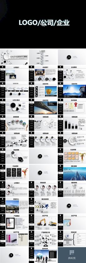 商业计划书 融资计划书