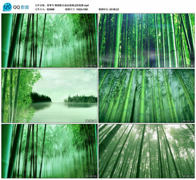 青青竹 舞蹈LED背景视频成品