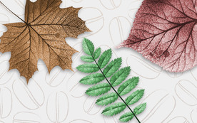 时尚树叶背景墙