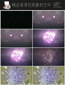 唯美浪漫国庆十一婚礼片头开场