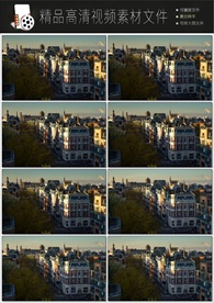 带通道的粒子花海视频素材