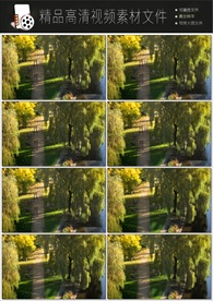 唯美跑道绿色森林实拍超清视频