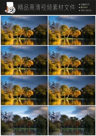 自然风景实拍视频超清文件