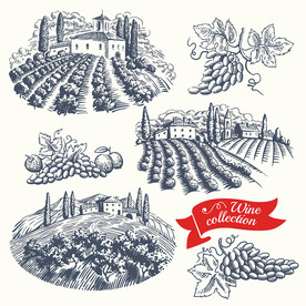 葡萄酒复古手绘素描插画素材