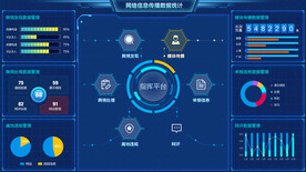 网络信息传播数据可视化界面