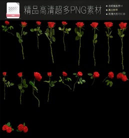超多玫瑰花PNG免扣素材合集