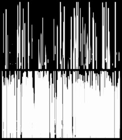 时尚唯美几何图形汇聚图形视频