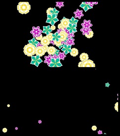 花朵飘舞散落遮罩特效转场视频