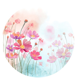 水彩花卉格桑花