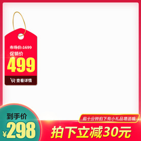 直通车图 主图模板 通用主图