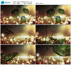 荷花鲤鱼水墨 舞台背景视频成品