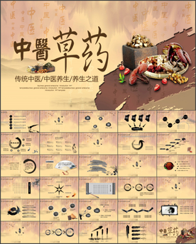 中医养生药材中药中医文化ppt