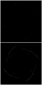 MOV片头片段科技视频图片视频