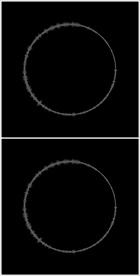 MOV登录浏览动态视频动画