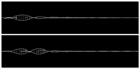 MOV登录浏览动态视频动画