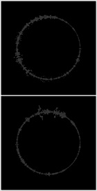 MOV登录浏览动态视频动画