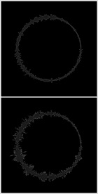 MOV登录浏览动态视频动画