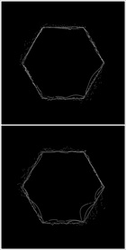 MOV登录浏览动态视频动画