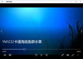 海底世界气泡珊瑚鱼