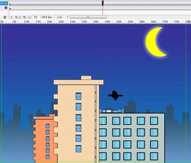 黑夜中飞过的鸟6秒