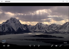 清晨阳光森林自然风景植物花卉