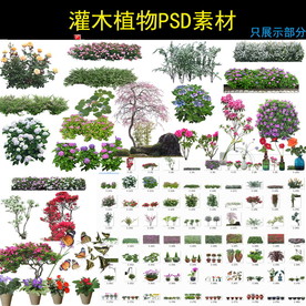 灌木psd素材