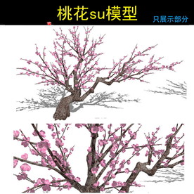 桃花模型