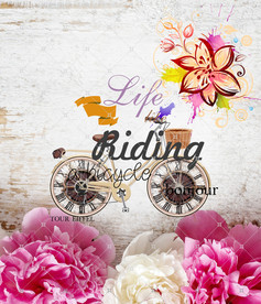 印花图案自行车