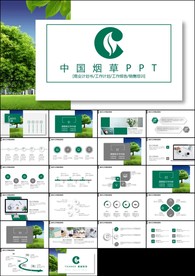 绿色中国烟草公司工作总结报告