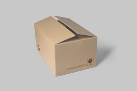 纸箱外包装样机