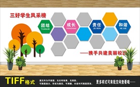 XX004 学校照片墙