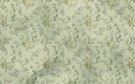 花鸟图 花鸟墙纸