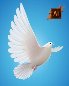 矢量白鸽