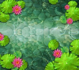 池塘逼真鱼游动flash