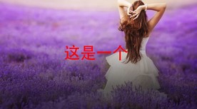 快速闪动时尚AE模板