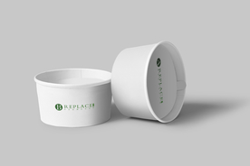 小碗纸杯雪糕样机