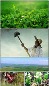 在希望的田野上歌舞晚会视频背景